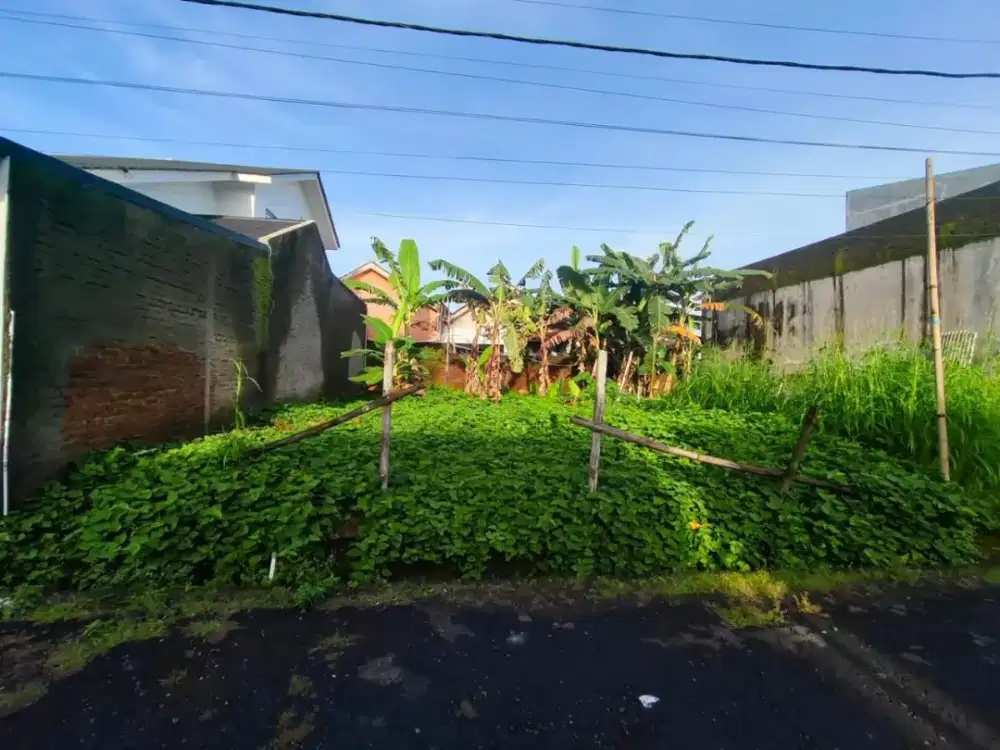 Dijual murah tanah luas