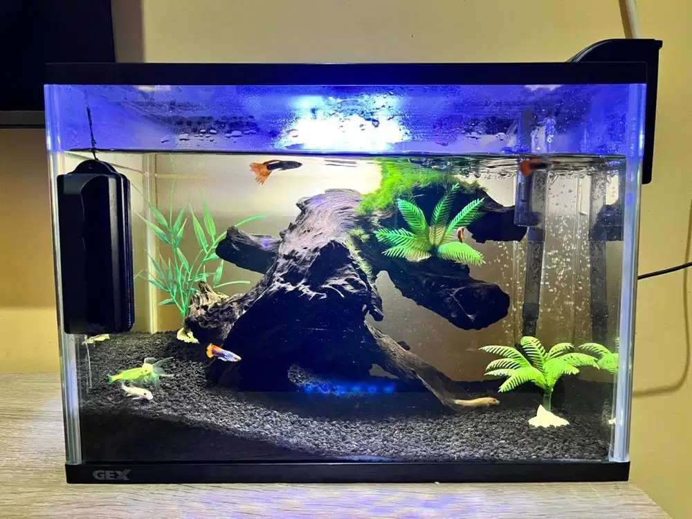 Aquarium fullset