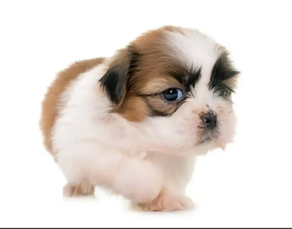 HILANG. MERUYA SEKITARNYA