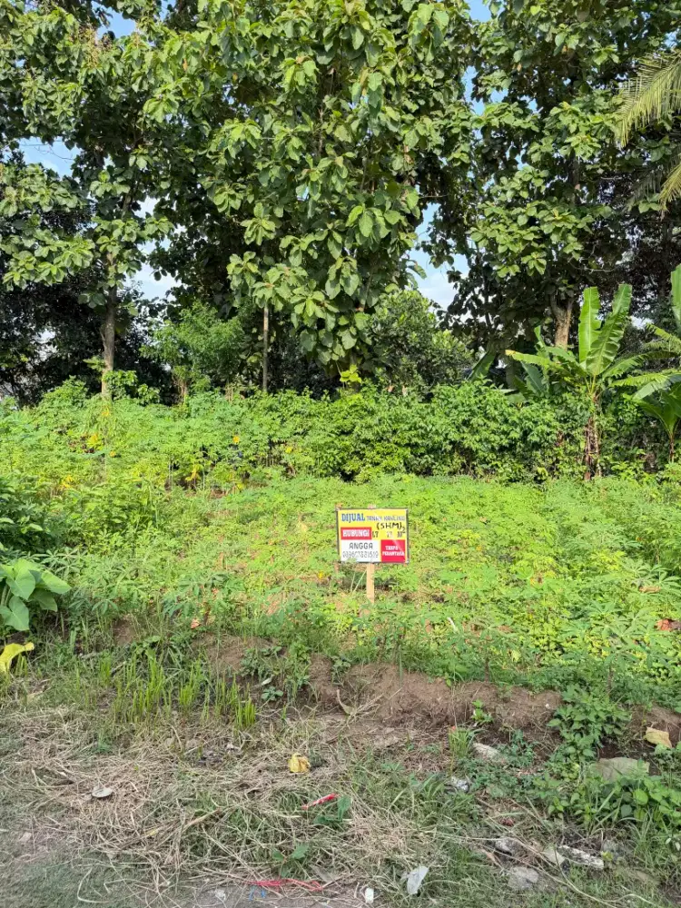 Tanah Kavling SHM Ampeldento Pakis