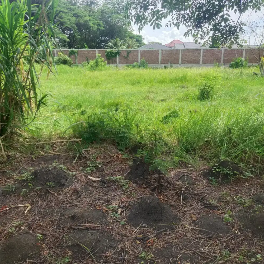 Tanah 800 meter area Batoh