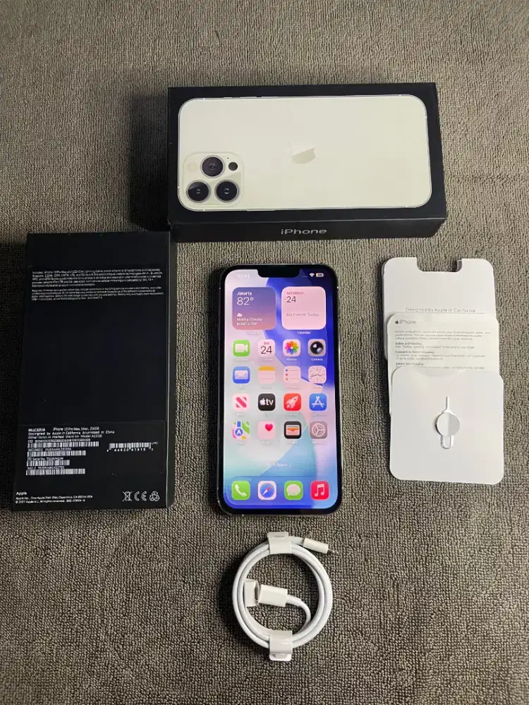IPHONE 13 PRO MAX 256GB