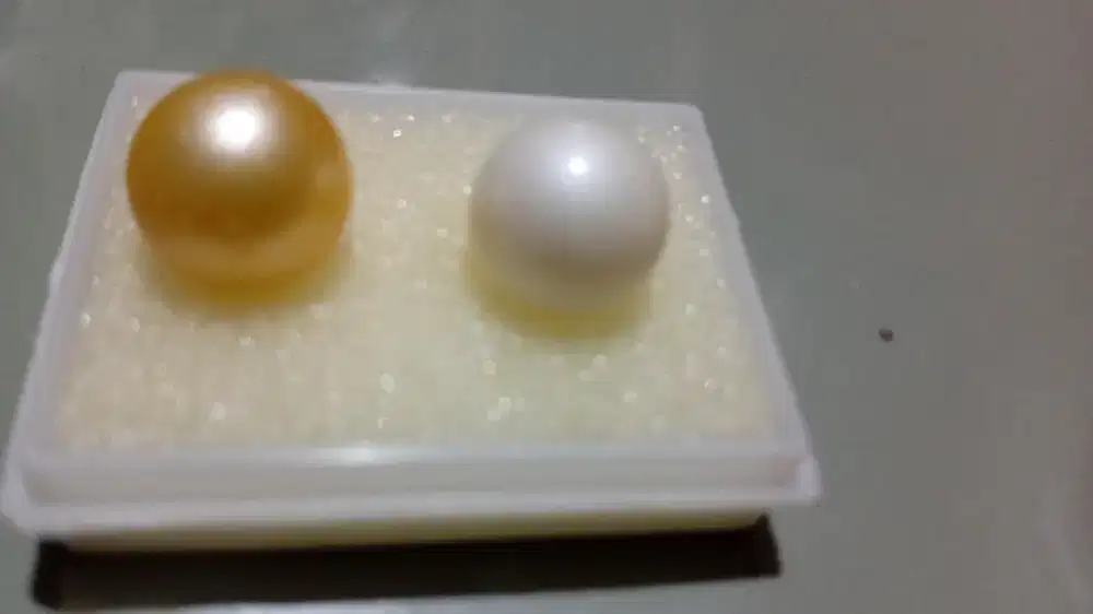 Di jual mutiara air laut lombok 2.biji. white + gold.