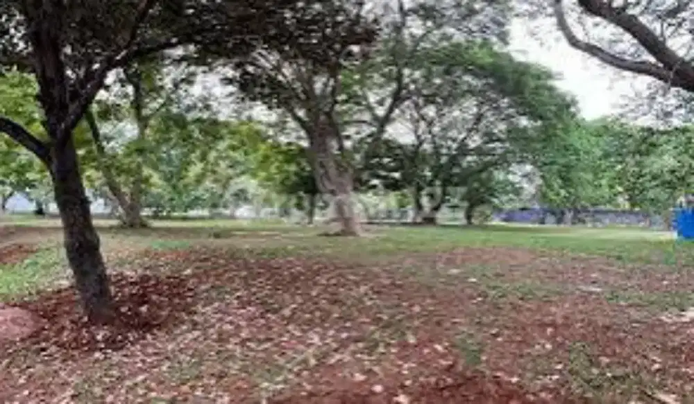 Pik - Kavling Komersil Elang Laut Langka