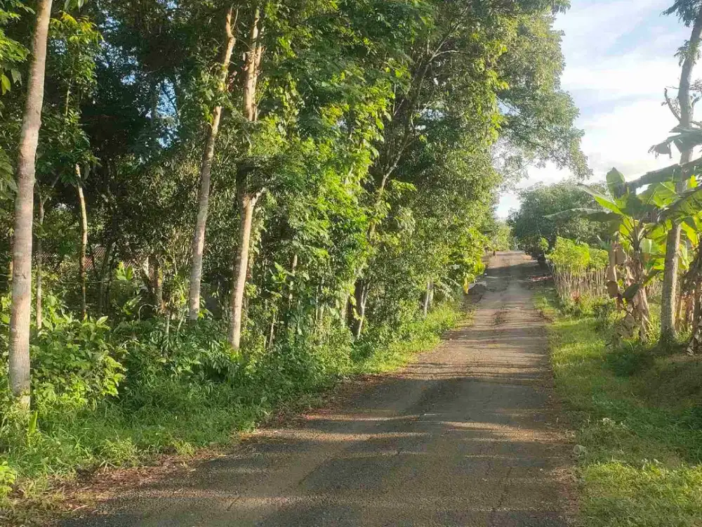 DIJUAL TANAH MURAH KALIORI KALIBAGOR DEKET SMK