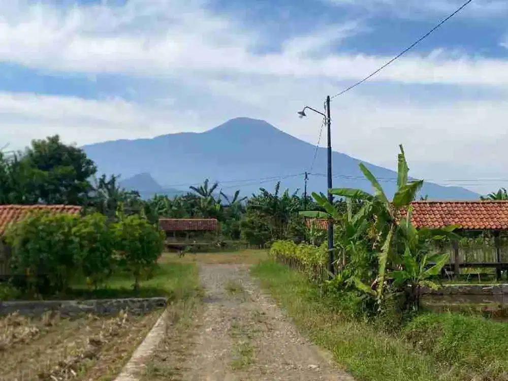 DIJUAL TANAH VIEW GUNUNG SLAMET KARANG NANGKA PURWOKERTO UTARA