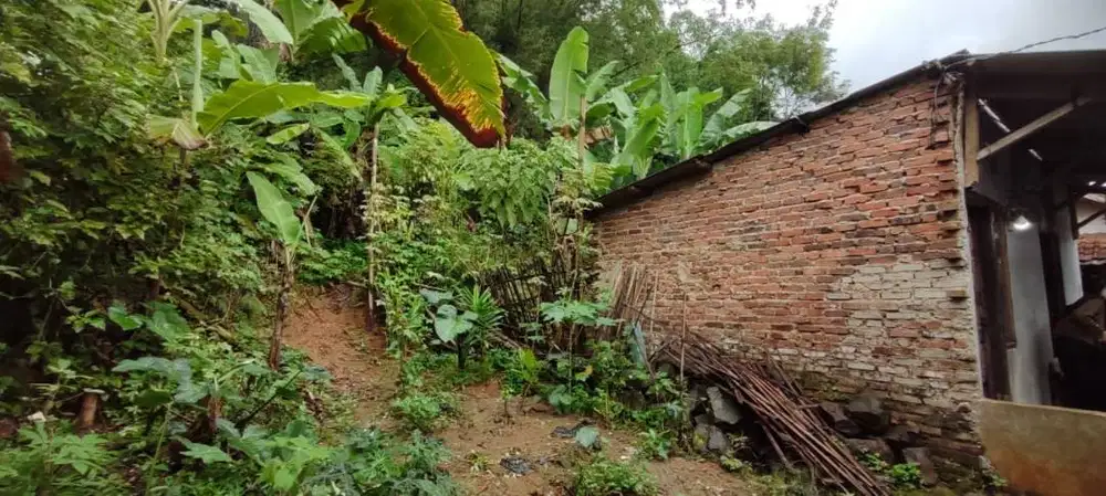 [NEGO] TANAH KEBUN TERMASUK KONTRAKAN 2 PINTU KUTAWARINGIN BANDUNG