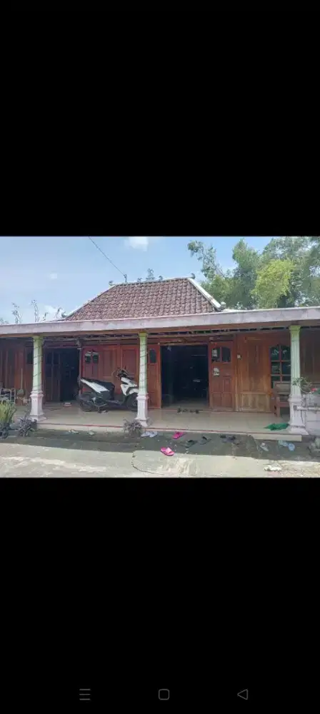 limasan kayu jati sehat siap pindah