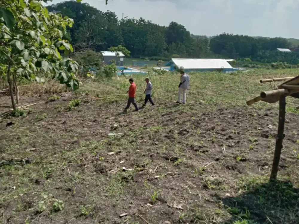 Lahan Zona Industri Lokasi Tangen,Sragen Luas 41 Ha BU!!