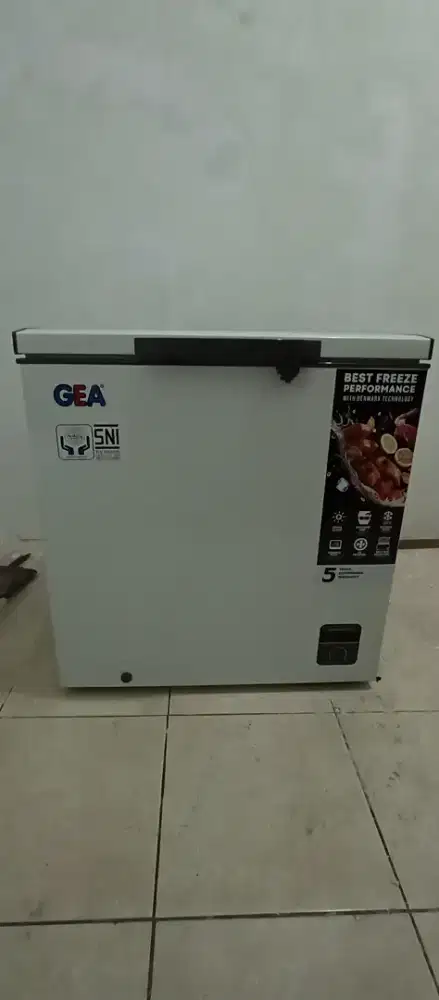 Gea freezer box 210L