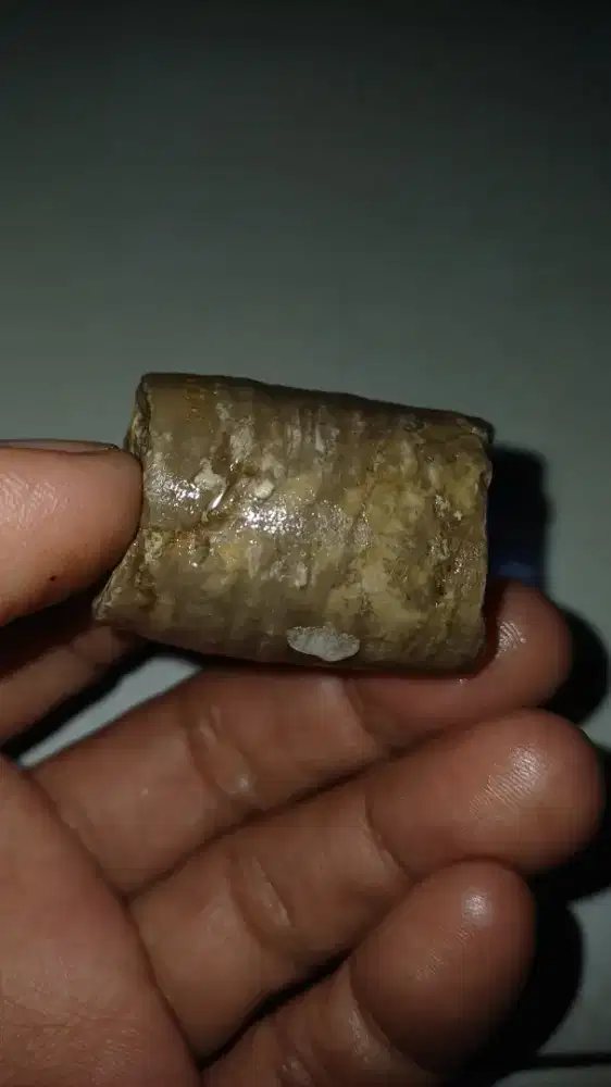 Mustika belut putih barang antik