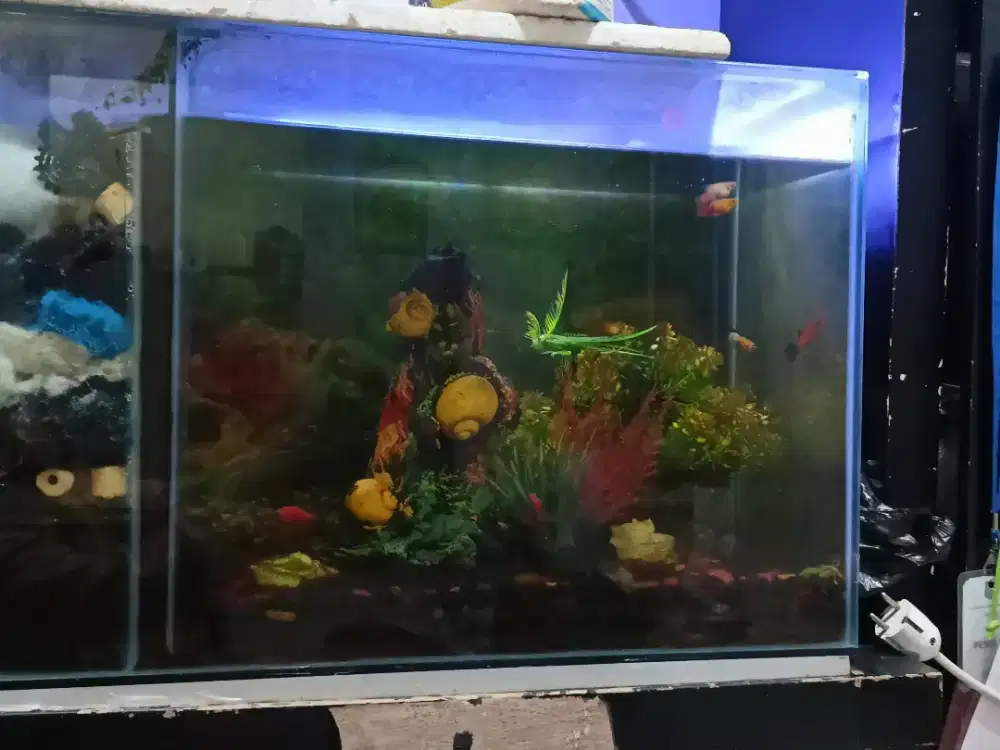 DIJUAL AKUARIUM