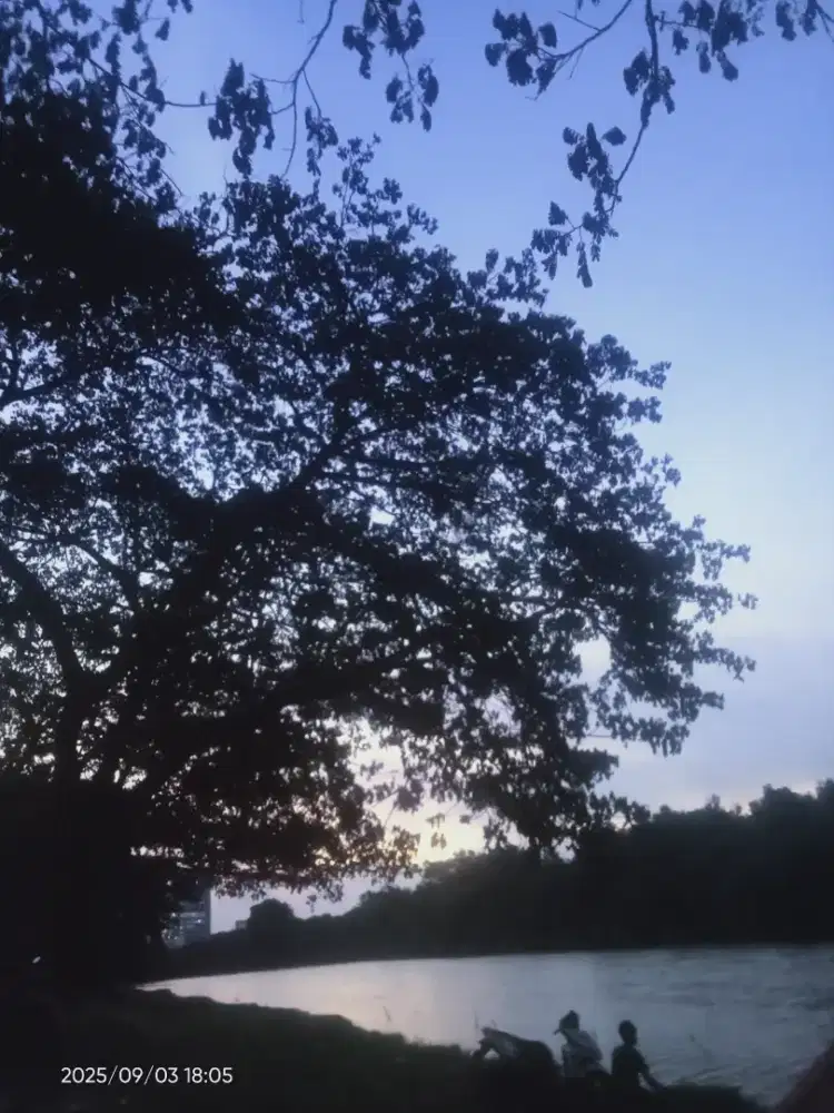 DIBUTUHKAN HOST LIVE PEREMPUAN