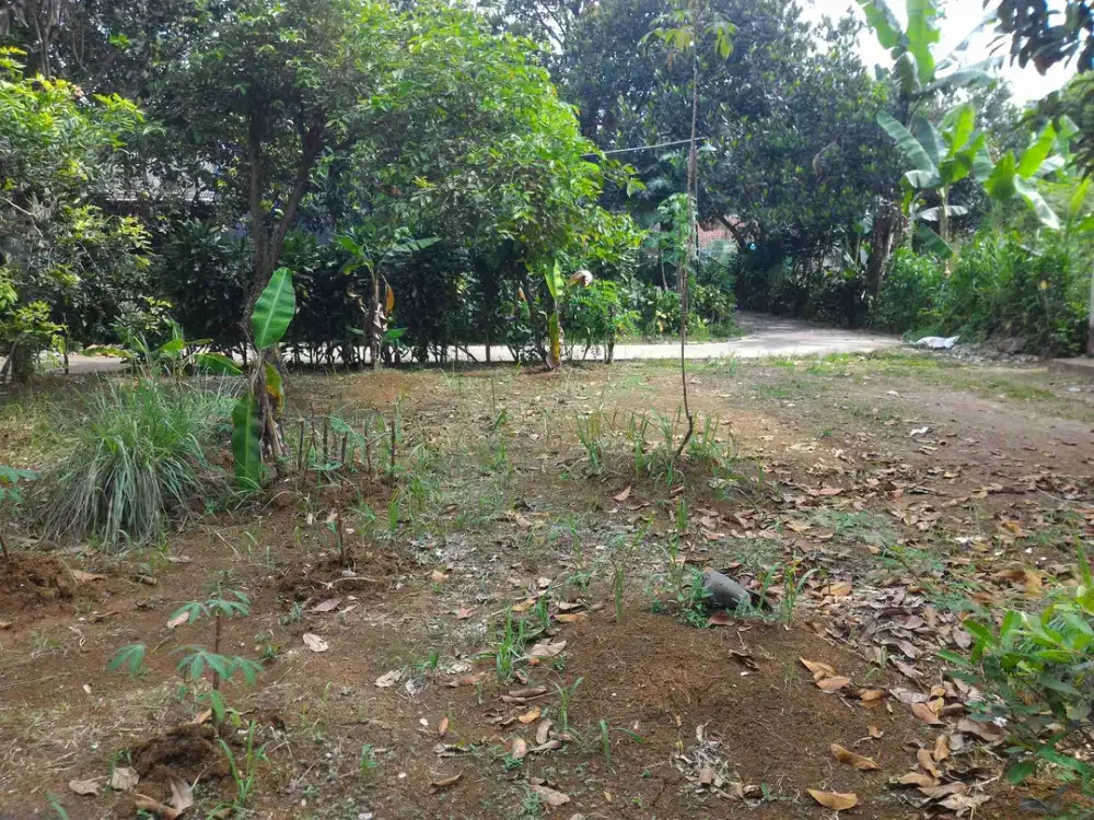 Tanah Siap Bangun Dekat Stasiun & Tol Bojonggede