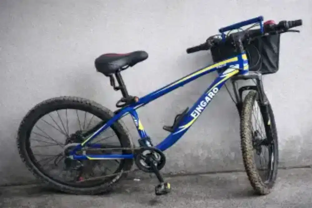 SEPEDA MTB FINGARD SC 80 D