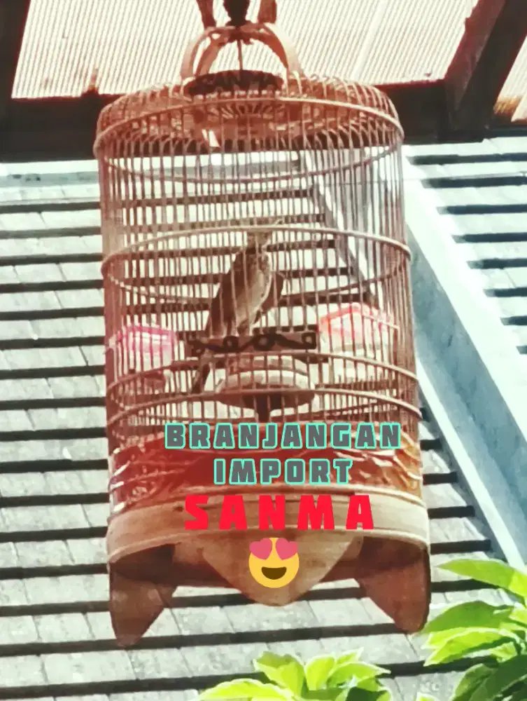 Branjangan sanma import