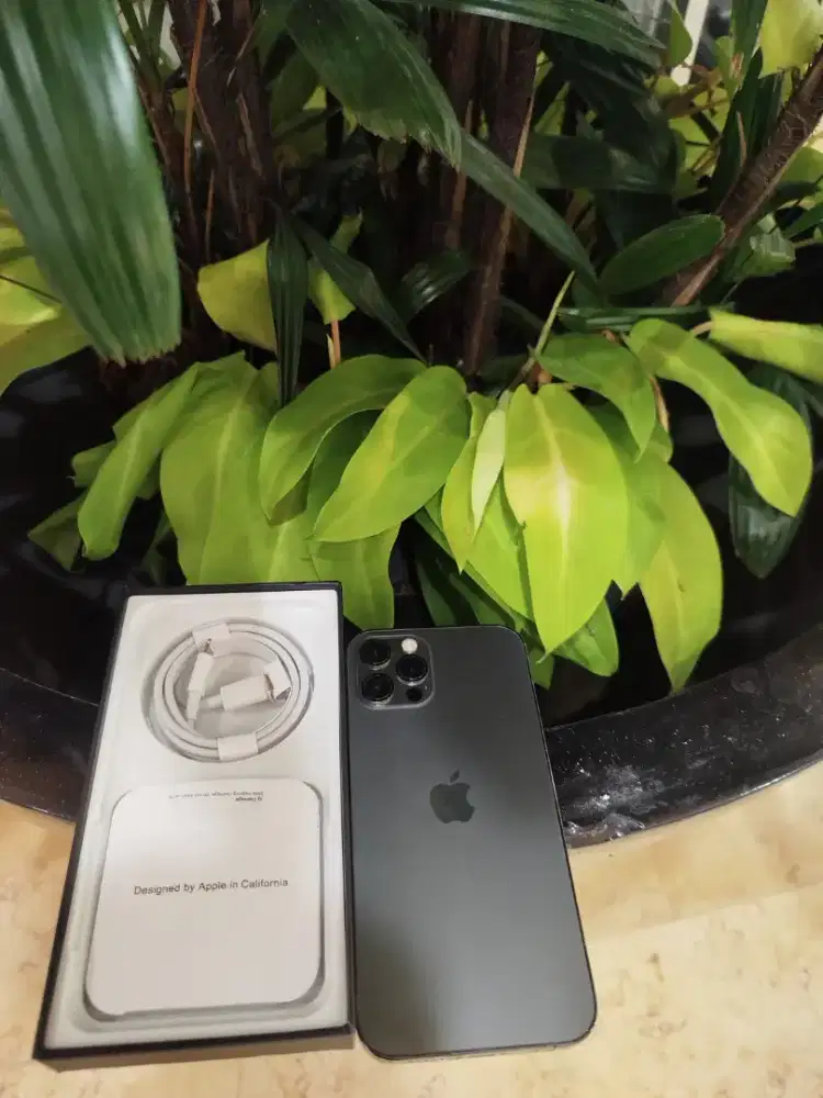 Iphone 12 pro 128gb bebas riset