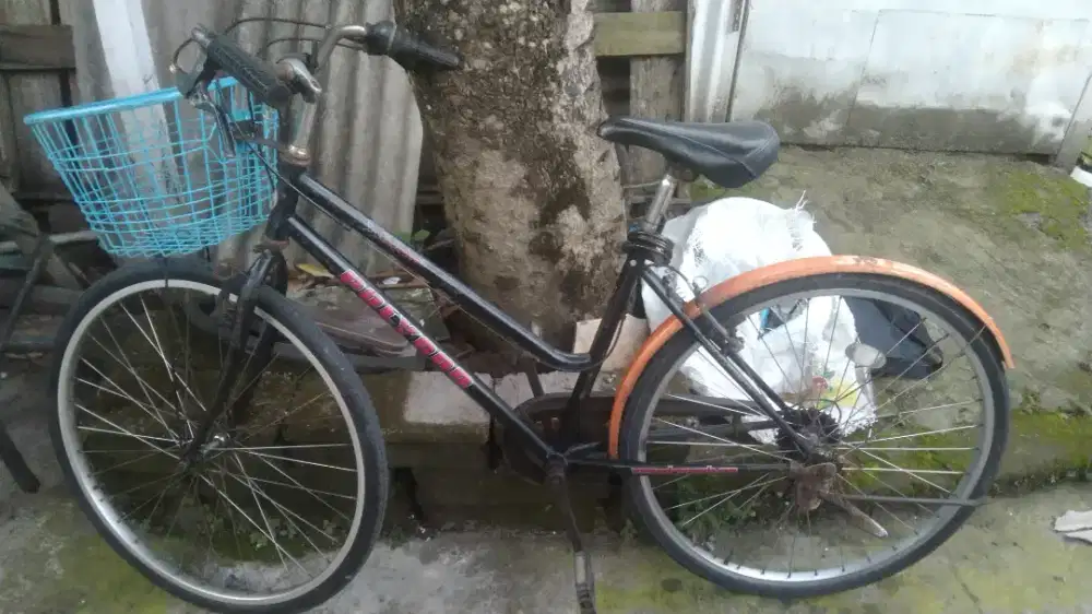 Sepeda Polygon Sierra