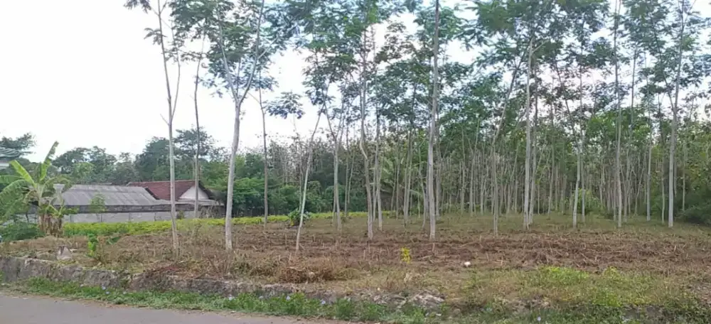 BU Dijual Cepat Tanah SHM, ±Lt 2796 m²  Tanpa Perantara