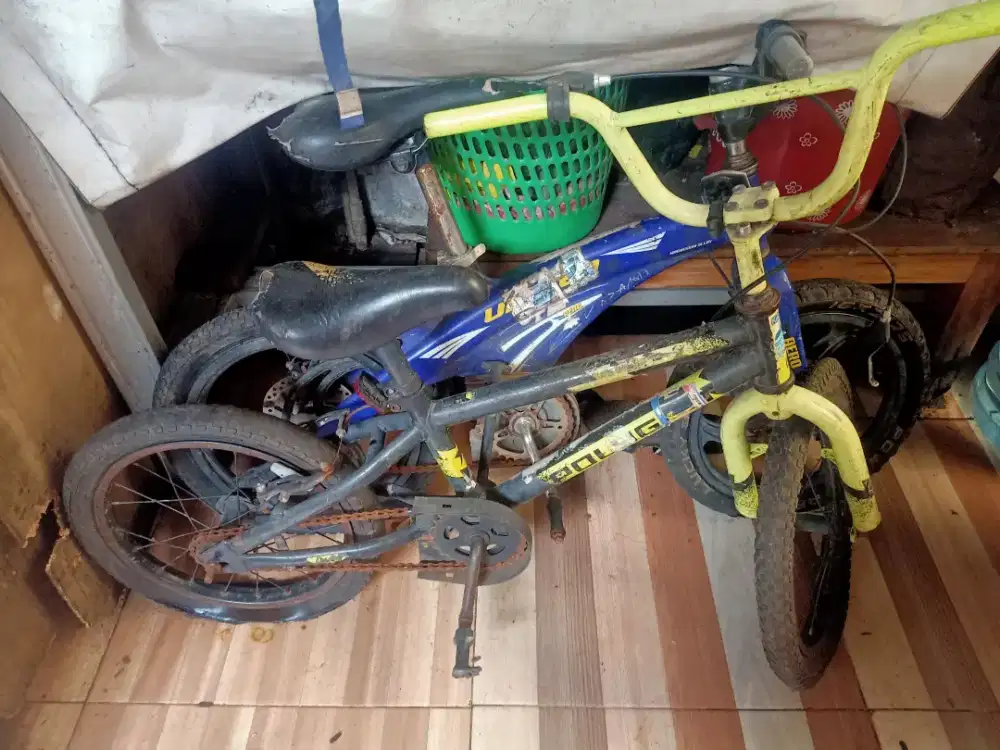 Sepeda united dan polygon