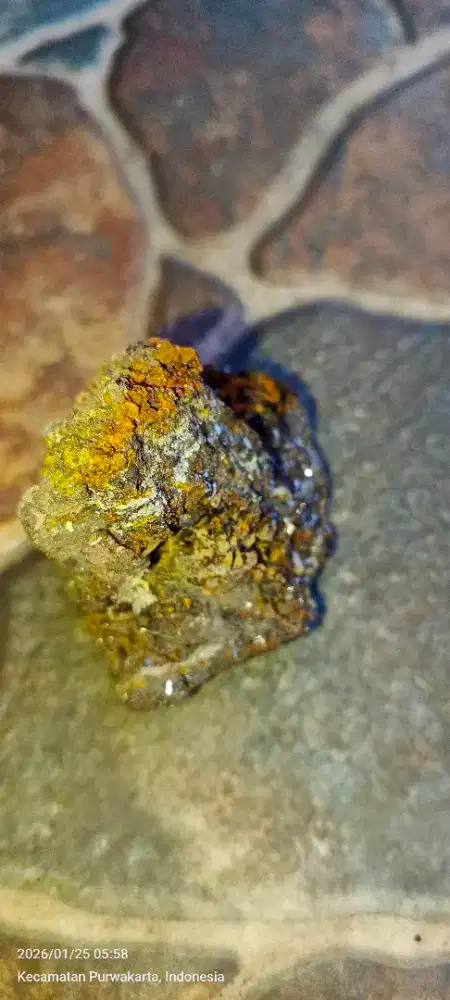 Batu biji emas murni