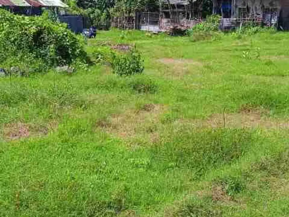 DIJUAL TANAH, Penataban-GIRI, Banyuwangi