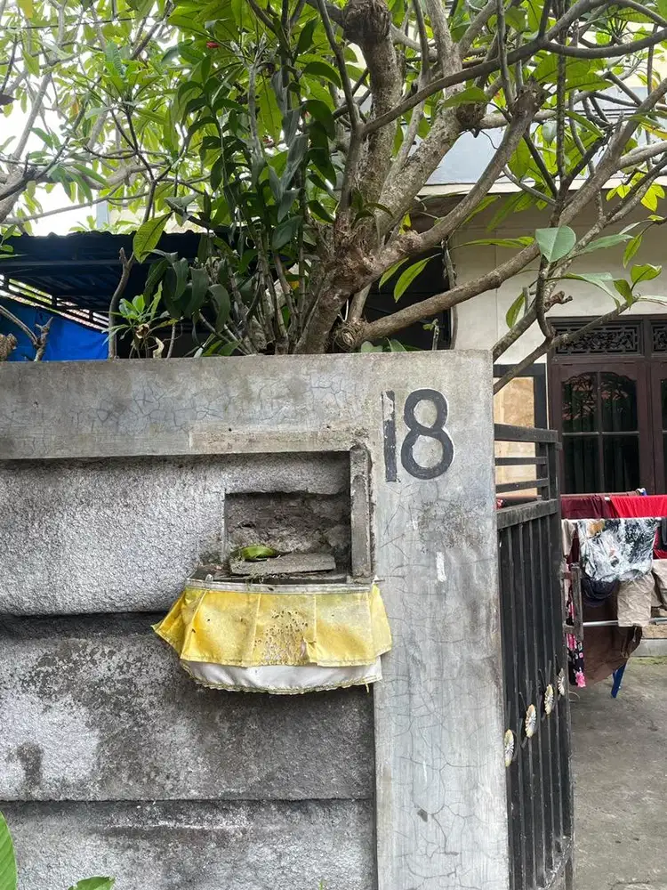 Pengasuh anak (baby sitter)