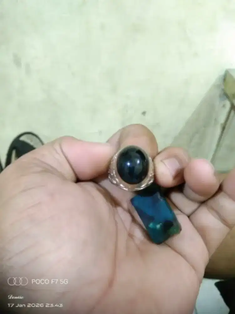 BACAN DOKO MAJIKO TANAH HITAM SUDAH PECAH BIRU