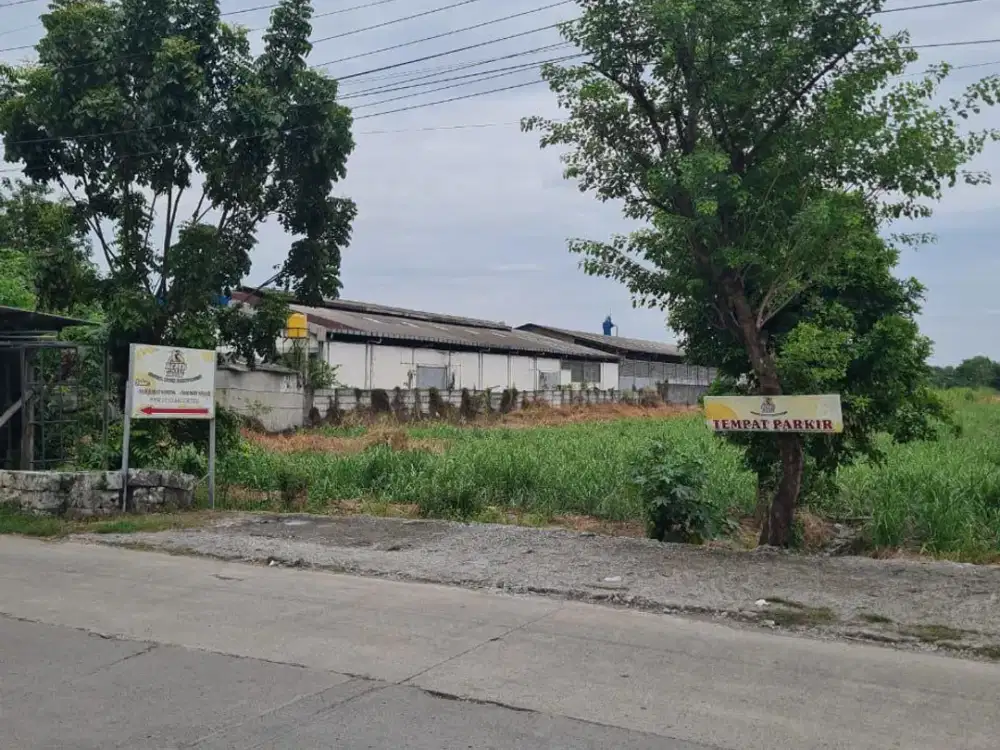 MURAH! TANAH RAYA JETIS MOJOKERTO