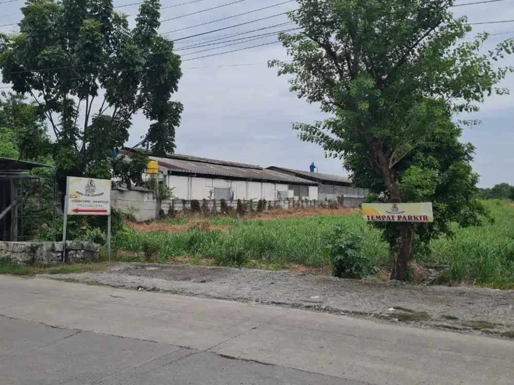 TANAH RAYA JETIS MOJOKERTO PINGGIR JALAN RAYA