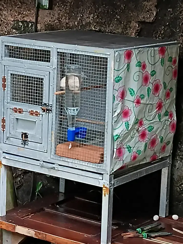 kandang besi 60x50 dgn tinggi 80 cm no minus .