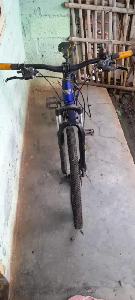 Sepeda gunung Aviator