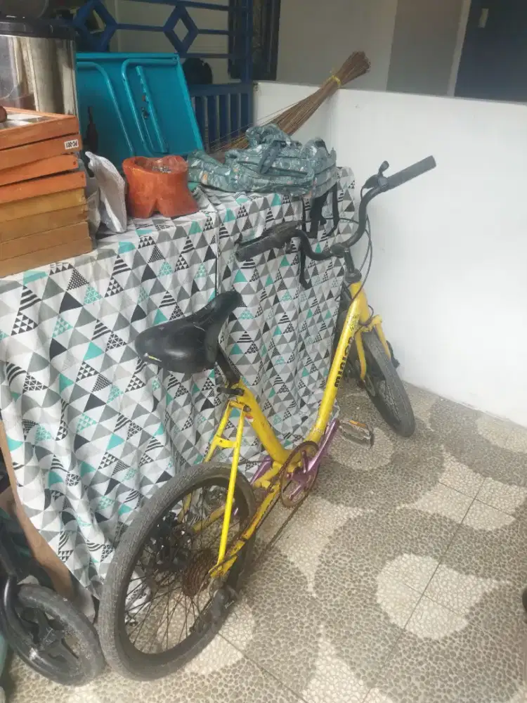 Jual Minion apa adanya