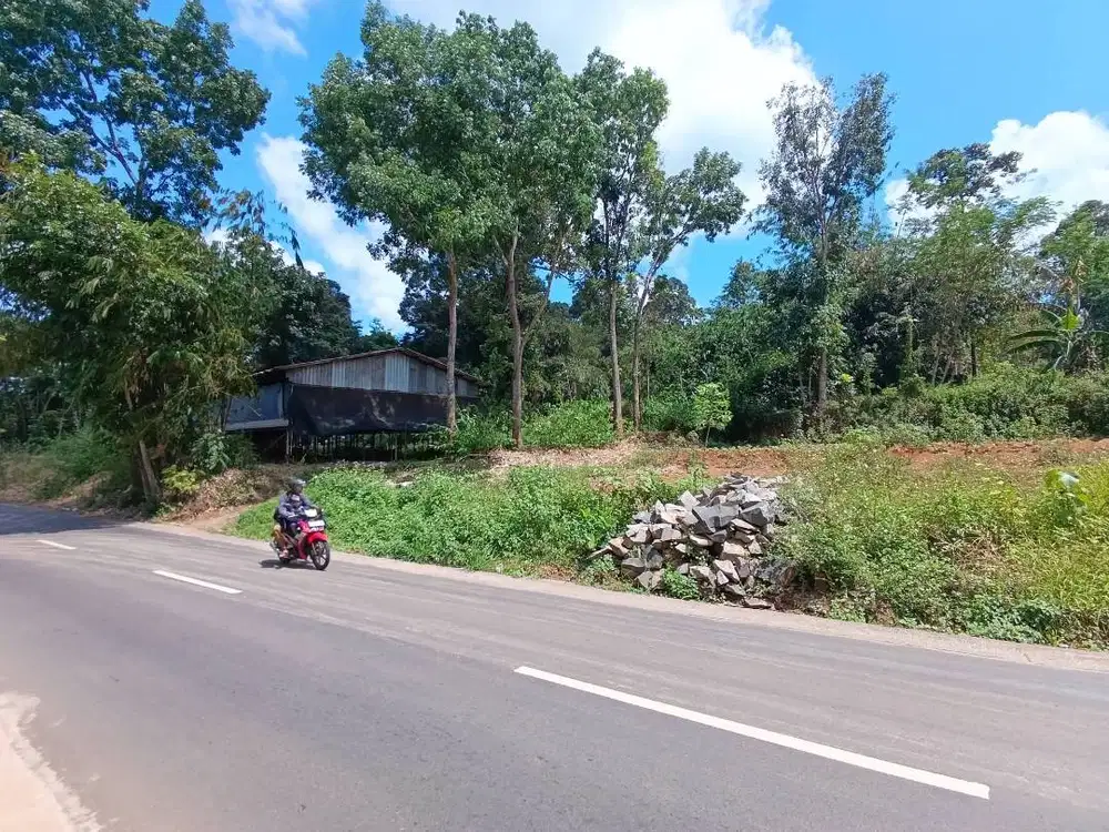 Tanah Murah nempel jalan raya gunung pati