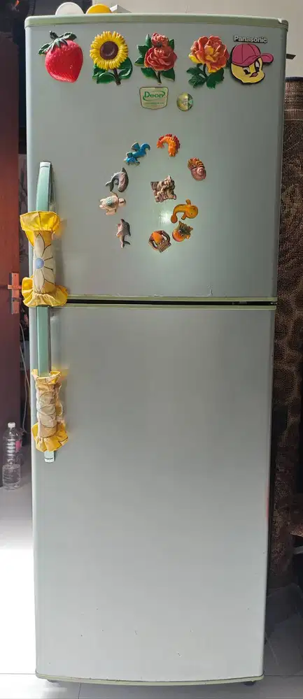 Panasonic NR-B25GF-ST 250 L