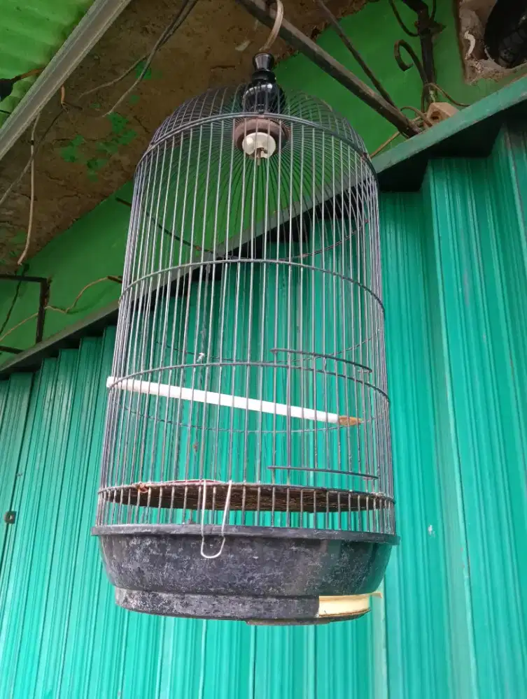 Bekas crucukan ram tebal masih aman smua