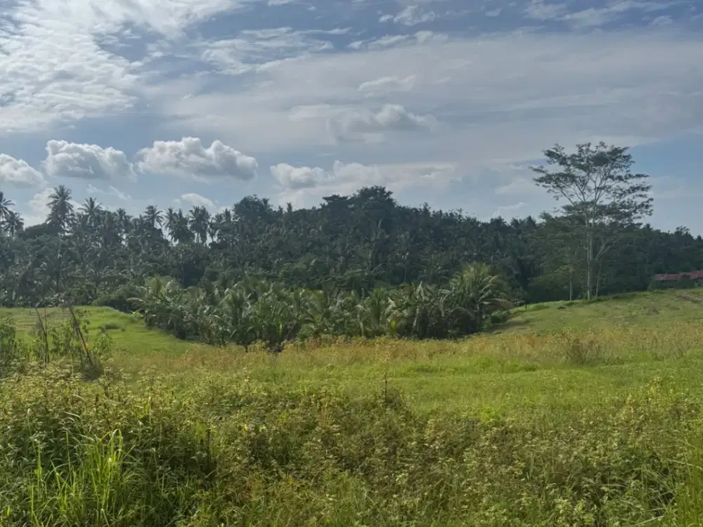 Di jual tanah pinggir jalan ke Manikyang