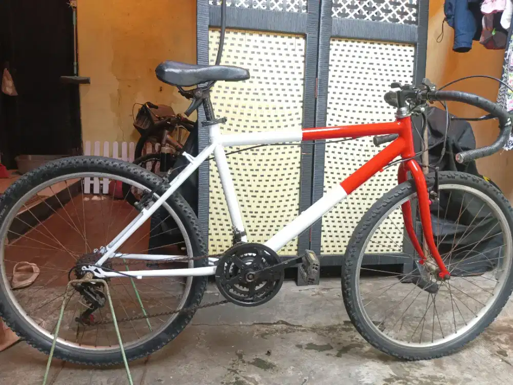 Sepeda dewasa grafle