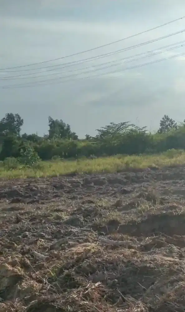 Di Jual Tanah 200 m² Dekat jalan Raya syarifuddin yoes