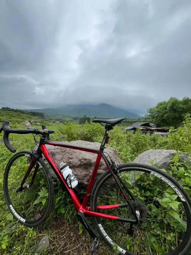 WTS RB MOSSO 790 PRO2 SZ 53