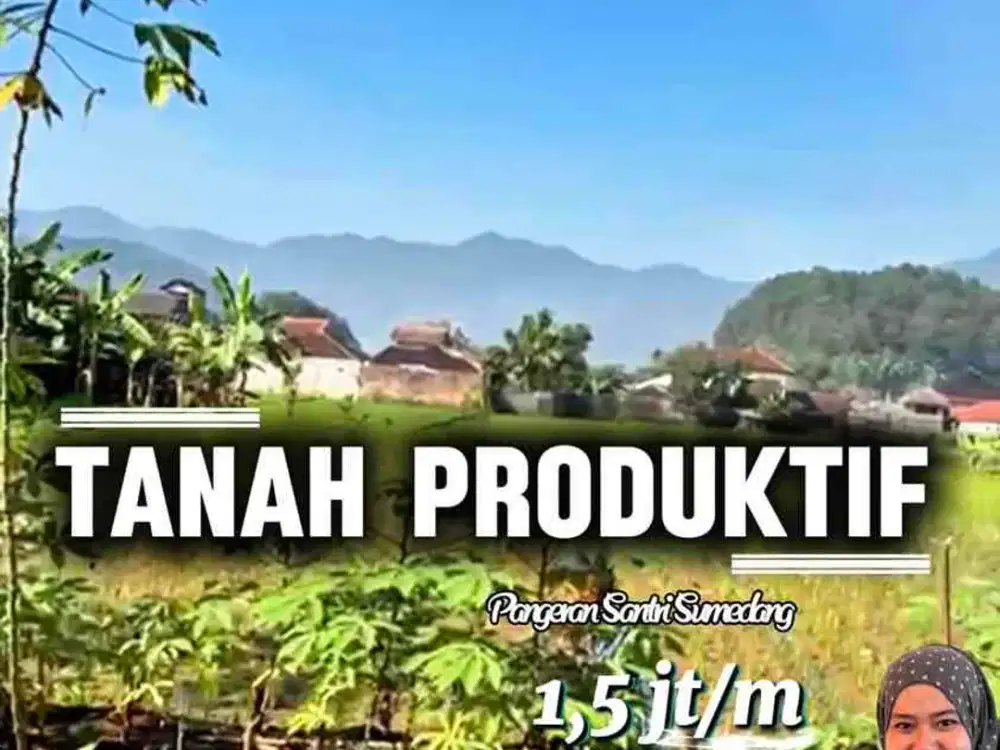 Dijual Cepat Tanah Sawah Produktif Cocok Untuk Dibangun Perumahan