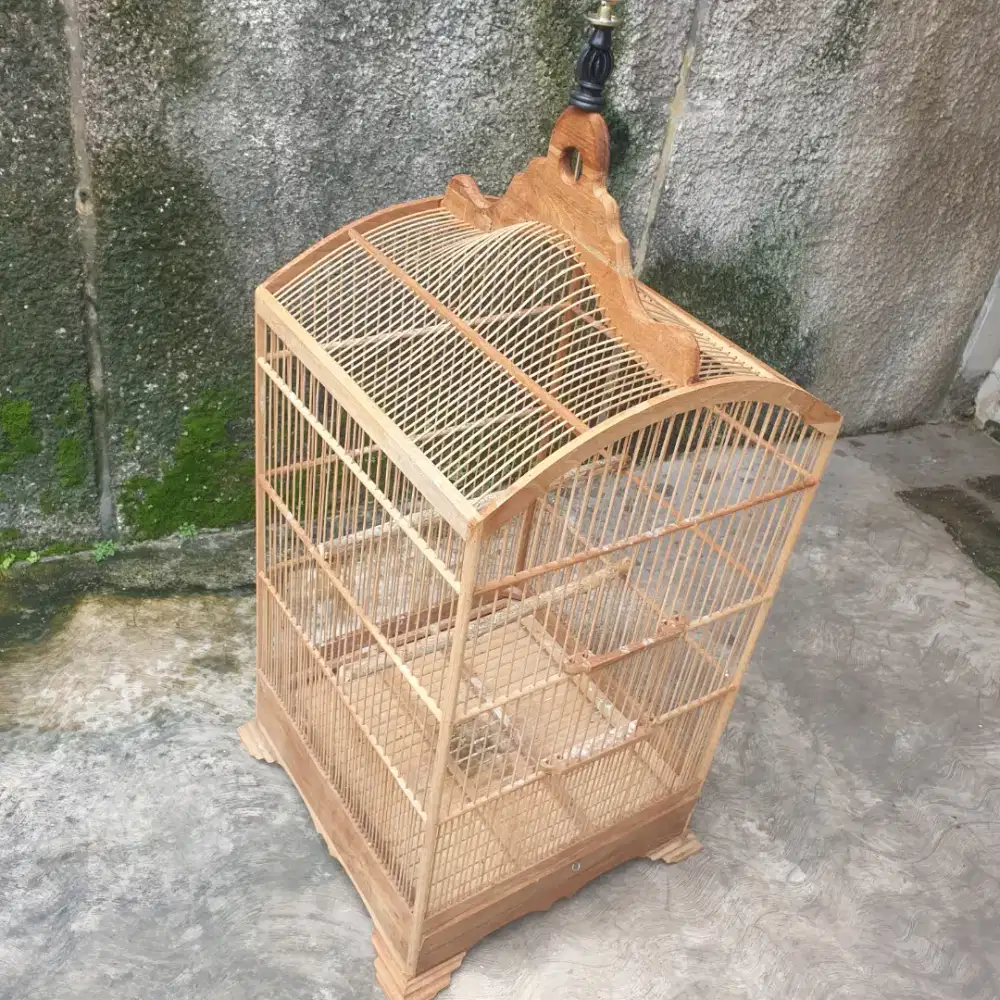 Sangkar kosan jati no.1 kondisi 100%