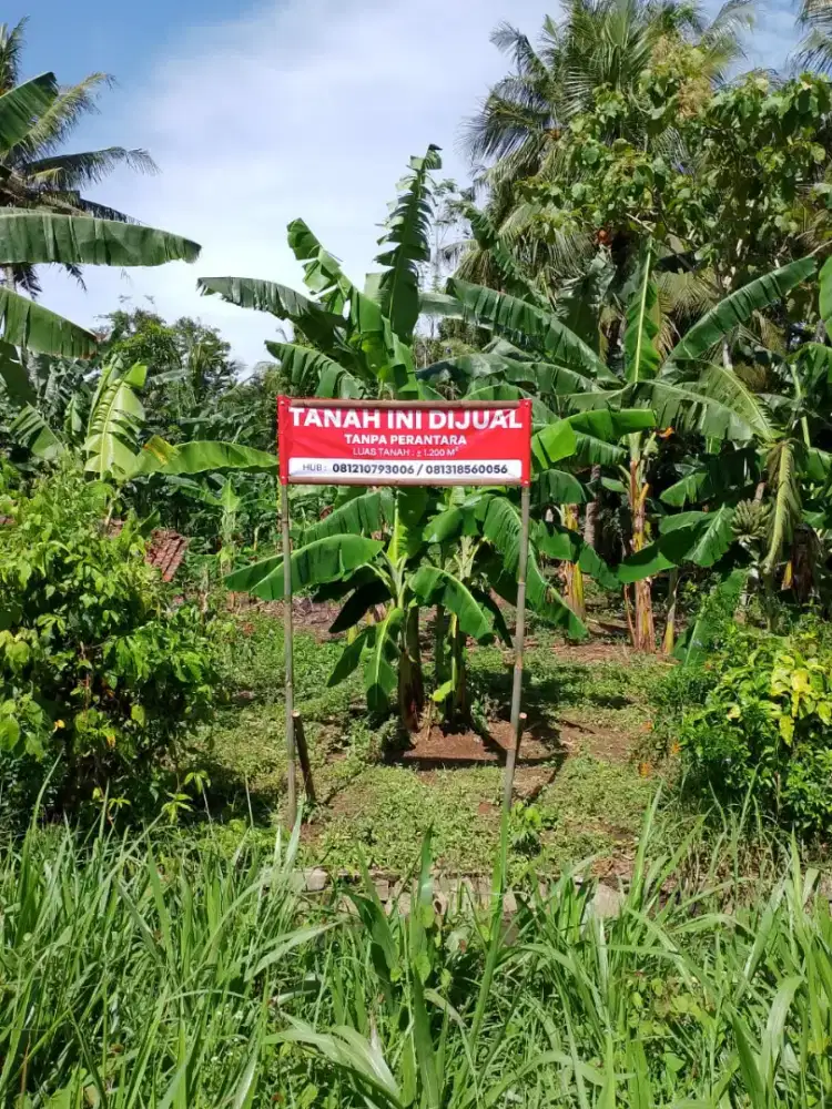 DIJUAL CEPAT TANAH PEKARANGAN 1.195m² KEBONSARI, PURWOREJO