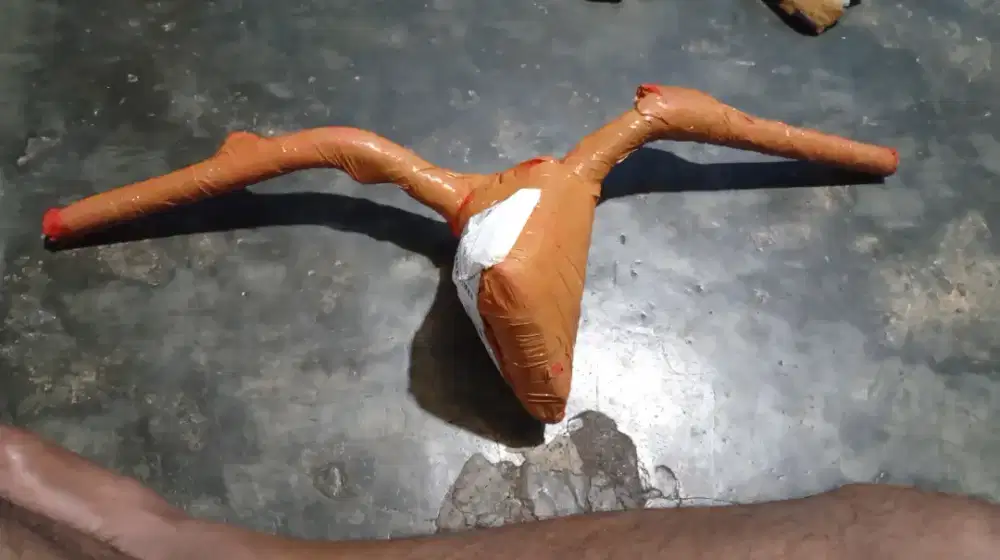 Stang ori mio karbu edisi ga jadi pakay