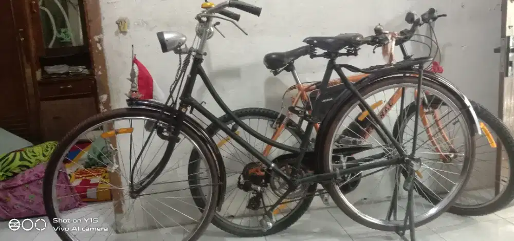 Dijual sepeda onthel kebo kuno cewe merek raleigh masih bagus ban oke