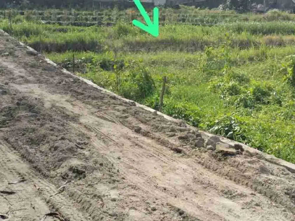 Di jual tanah tumbak bayuh view sawah sangat bagus dan cocok untuk di bangun villa komersil Atau kavlingan