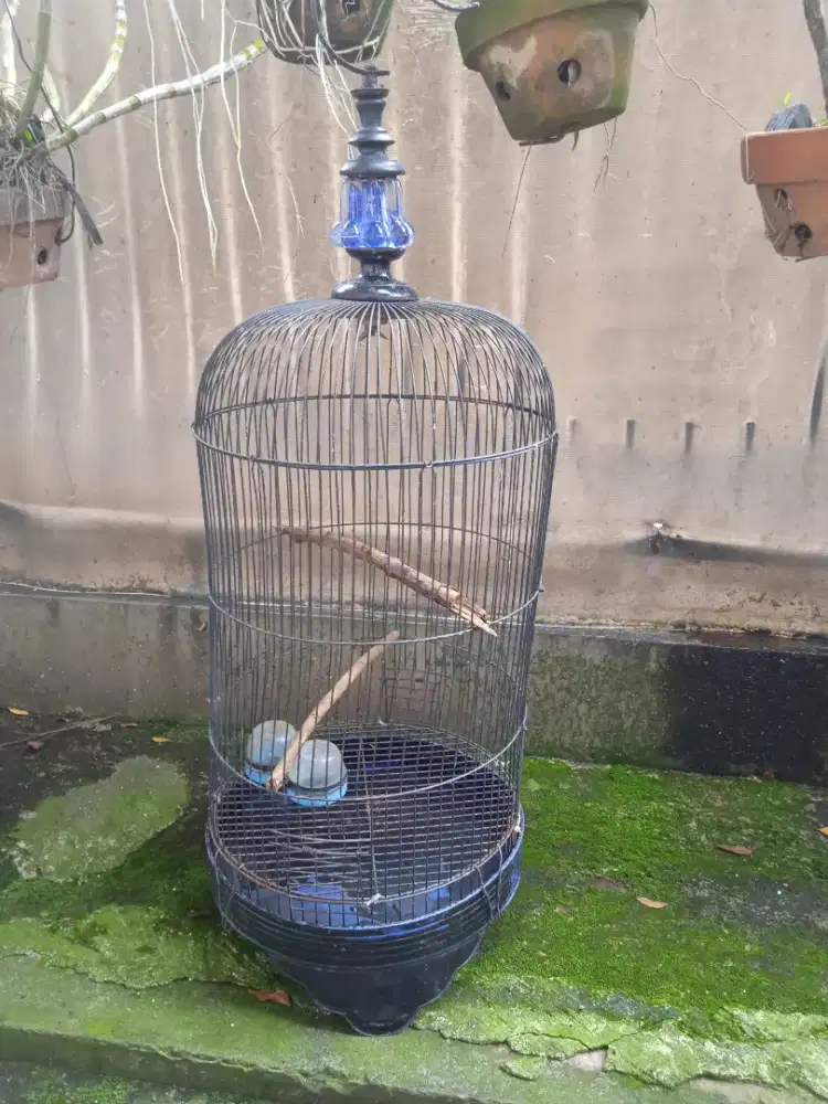 Sangkar burung besi