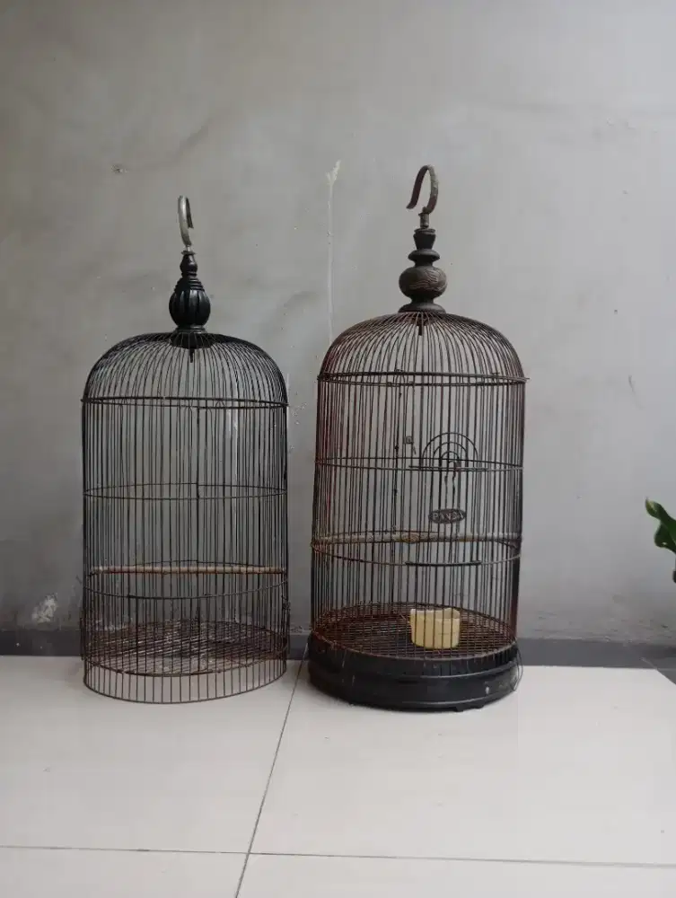 Sangkar kurungan lovebird
