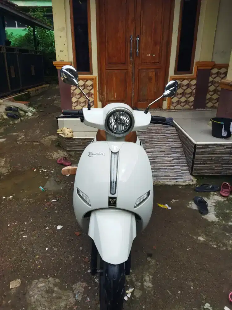 Motor listrik tangkas v8 max kumplit