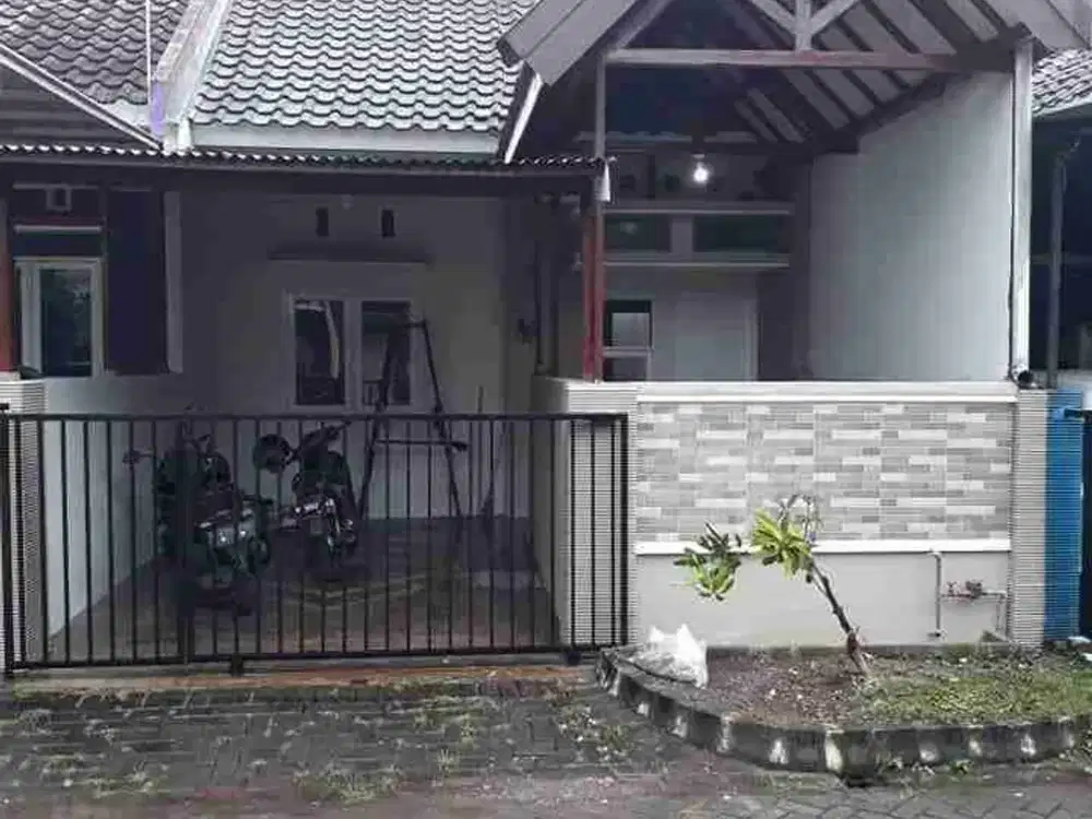 Rumah Murah Di Sawojajar Pakis Blimbing Araya Cocok Keluarga Muda